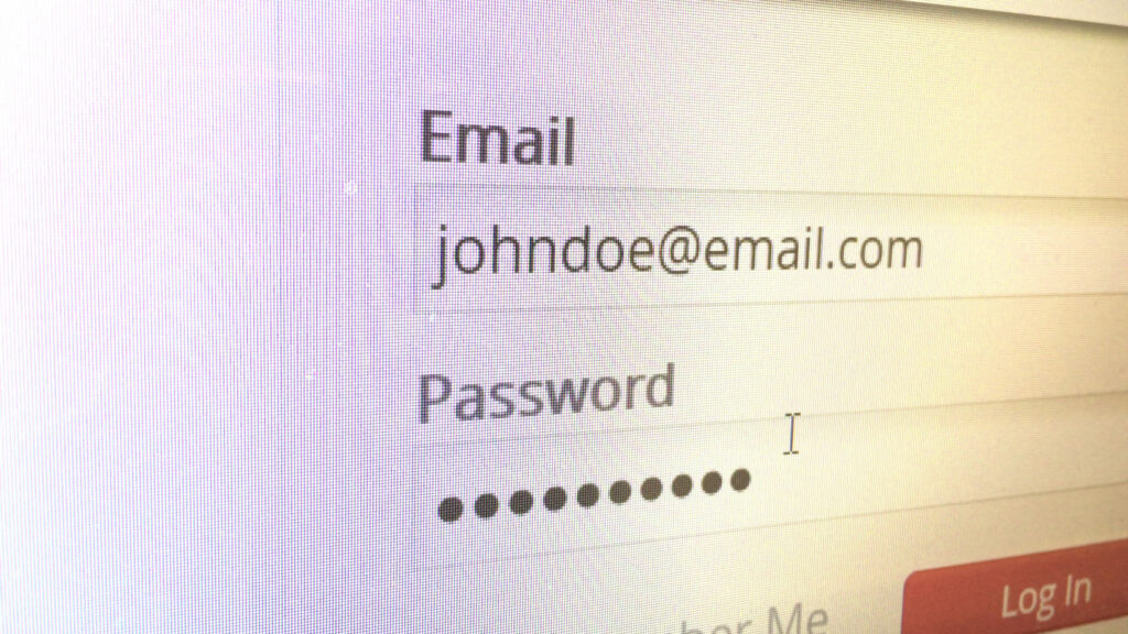 Log in to website entering email and password